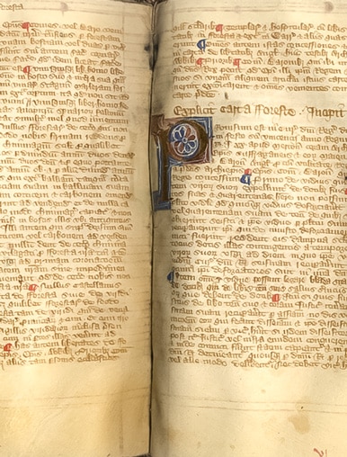 RT-Book-King-John_Magna_Carta-386x508